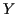 \( Y \)