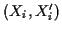 \( \left( X_{i},X_{i}'\right) \)