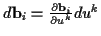\( d\mathbf{b}_{i}=\frac{\partial \mathbf{b}_{i}}{\partial u^{k}}du^{k} \)