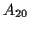 \( A_{20} \)