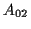 \( A_{02} \)