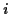 \( i \)