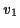 \( v_{1} \)