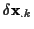 \( \delta \mathbf{x}_{.k} \)