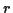 \( r \)