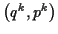 \( \left( q^{k},p^{k}\right) \)