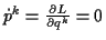 \( \dot{p}^{k}=\frac{\partial L}{\partial q^{k}}=0 \)
