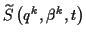\( \widetilde{S}\left( q^{k},\beta ^{k},t\right) \)