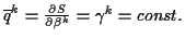 \( \overline{q}^{k}=\frac{\partial S}{\partial \beta ^{k}}=\gamma ^{k}=const. \)