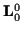 \( \mathbf{L}_{0}^{0} \)