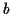 \( b \)
