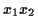 \( x_{1}x_{2}\protect \)