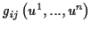 \( g_{ij}\left( u^{1},...,u^{n}\right) \)