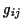 \( g_{ij} \)