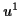 \( u^{1} \)